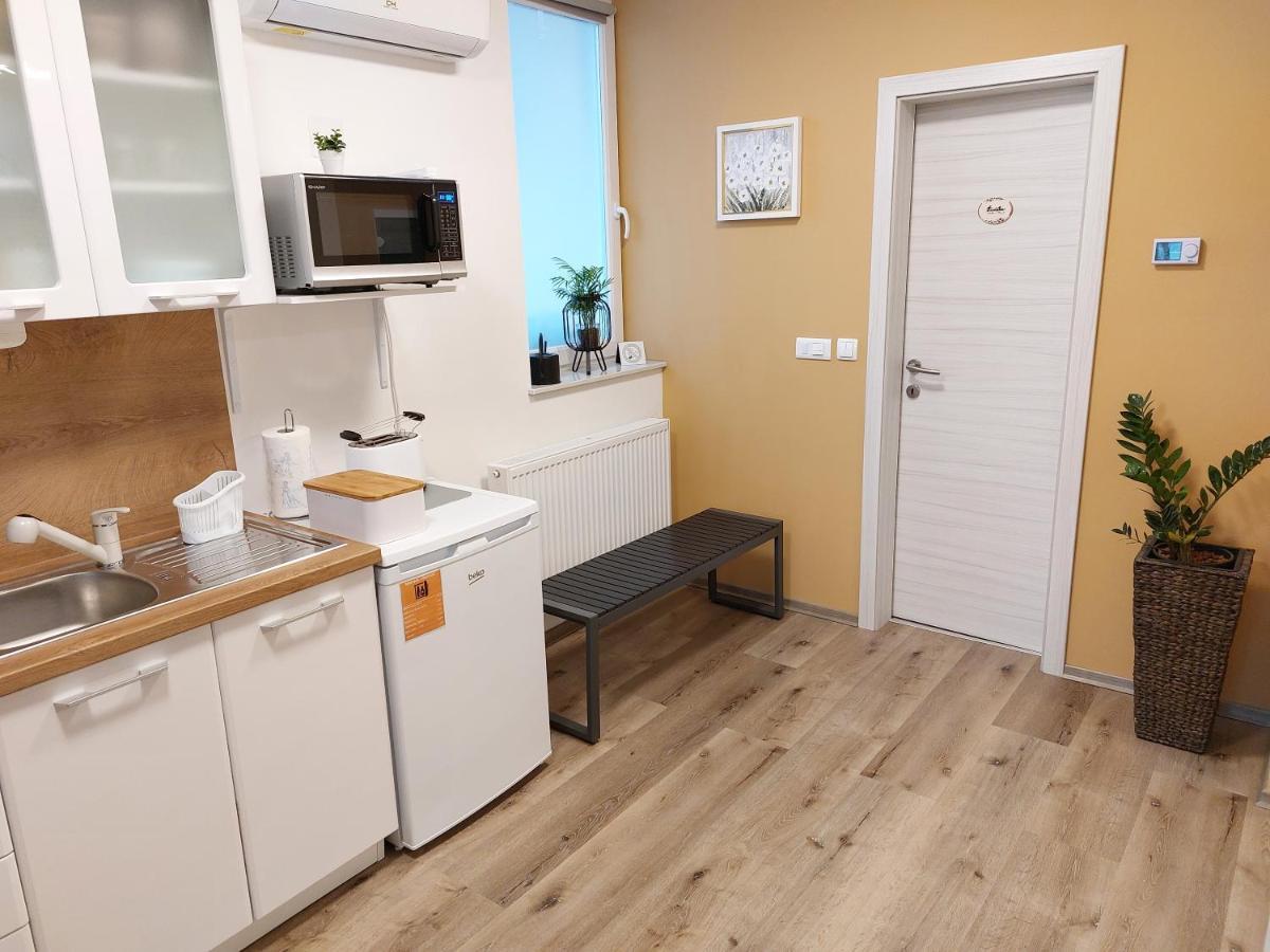 Apartments Alexandra ツェリェ エクステリア 写真